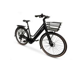 Lifebike Sporty+ 9vxl