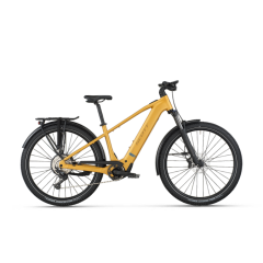 Scott Axis 20 Guld 